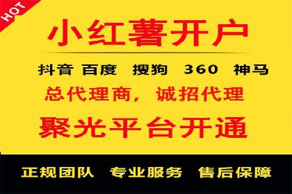案例分析：短视频平台信息流广告效果评估